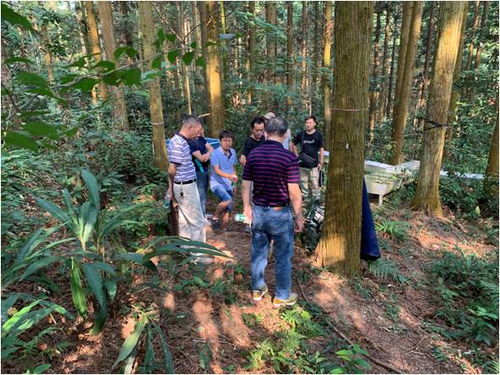 國家生態系統觀測研究網絡的商業價值與發展前景